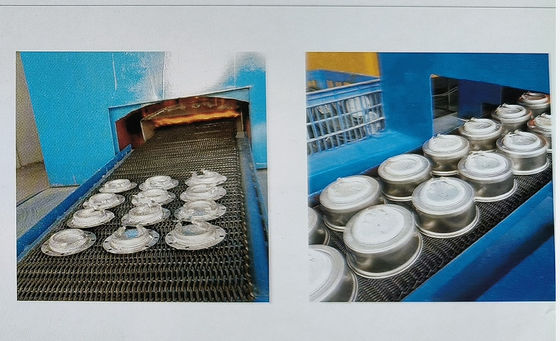 Fornace elettrica progressiva ed economica per la ricottura di acciaio inossidabile